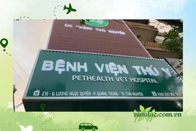 Bệnh Viện Thú Y Pethealth Thái Nguyên
