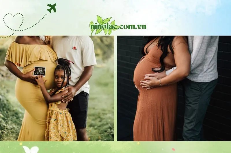 Các địa điểm chụp ảnh bầu Thái Nguyên