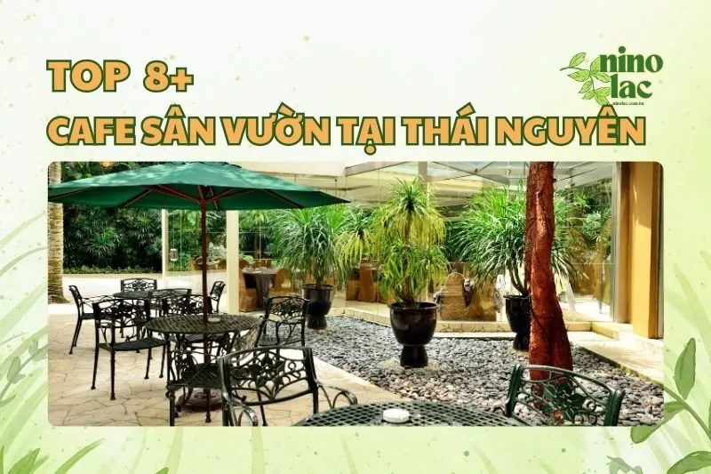 CAFE SÂN VƯỜN TẠI THÁI NGUYÊN