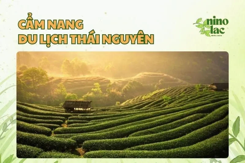 Cẩm nang du lịch Thái Nguyên 2025: Khám phá xử sở thành phố Thép