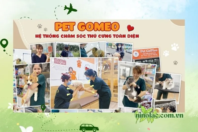 Cửa hàng Pet GoMeo