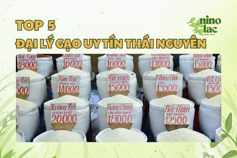 ĐẠI LÝ GẠO UY TÍN THÁI NGUYÊN