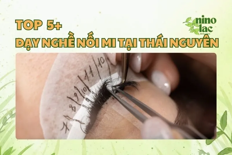 DẠY NGHỀ NỐI MI TẠI THÁI NGUYÊN