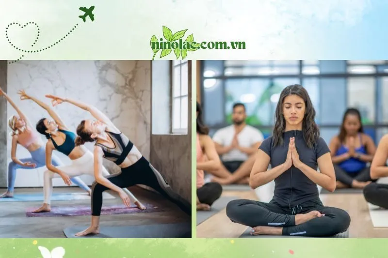 Dạy Yoga Thái Nguyên - Top Trung Tâm Uy Tín