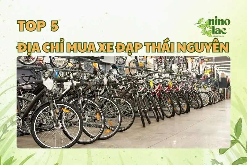 ĐỊA CHỈ MUA XE ĐẠP THÁI NGUYÊN