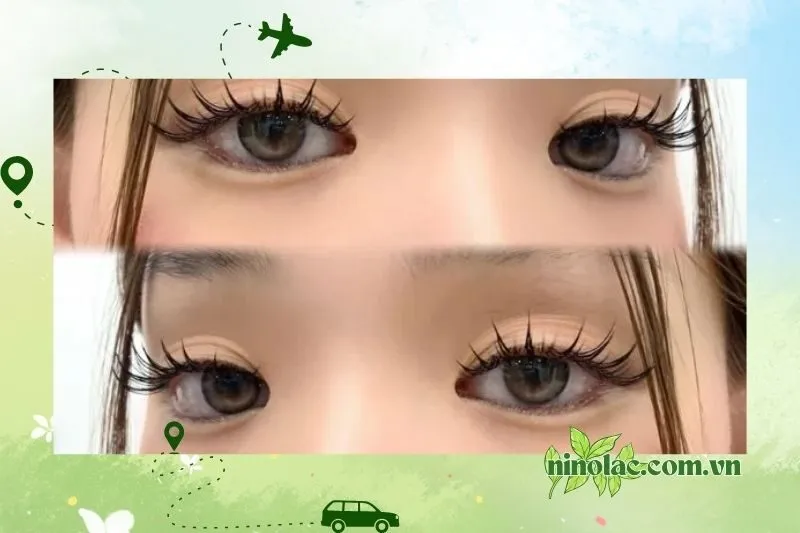 Diệu Hương Nối Mi