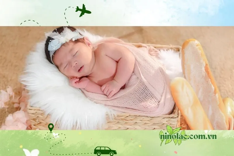 Đức Trần Studio - Studio Chụp Ảnh Cho Bé Thái Nguyên