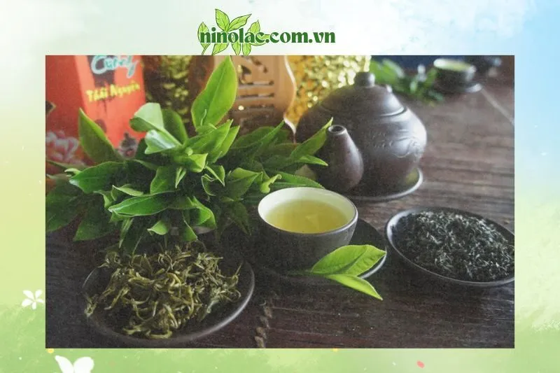 Giới thiệu về chè Thái Nguyên
