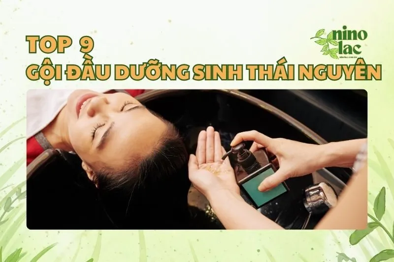 GỘI ĐẦU DƯỠNG SINH THÁI NGUYÊN