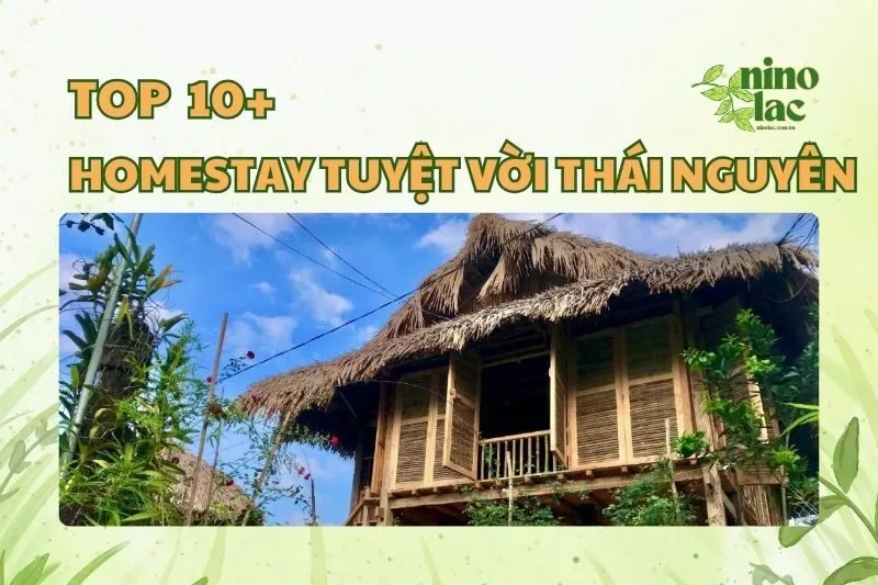 HOMESTAY TUYỆT VỜI THÁI NGUYÊN