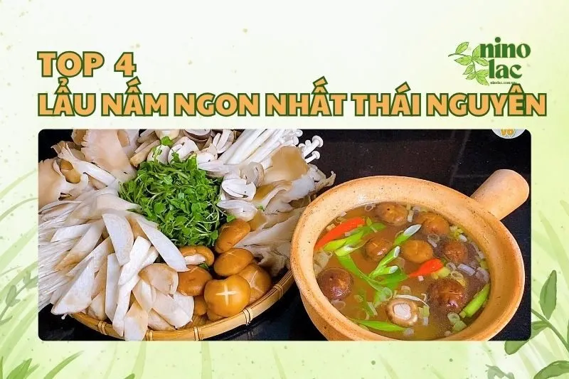 LẨU NẤM NGON NHẤT THÁI NGUYÊN