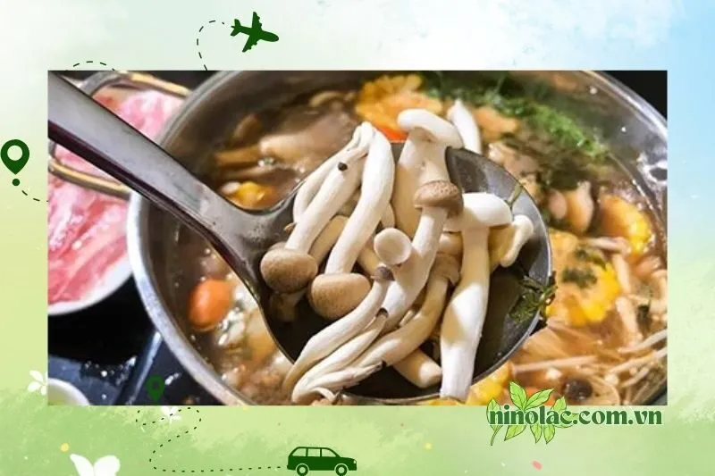 Lẩu Nấm Thăng Hoa