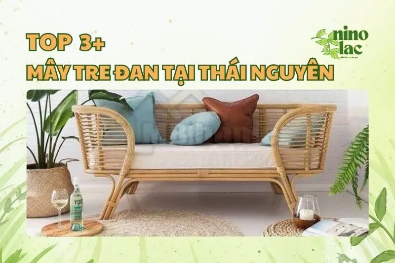 MÂY TRE ĐAN TẠI THÁI NGUYÊN