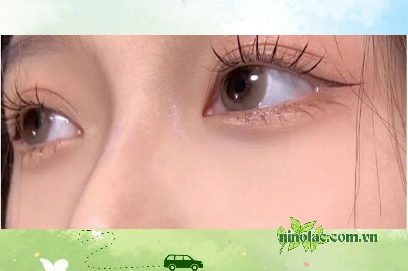 Mộc Nhi Beauty Lashes