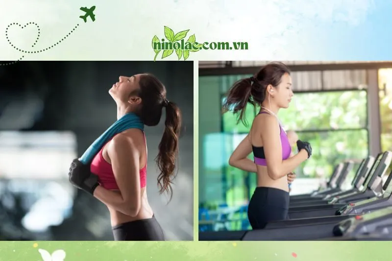 Phòng Gym Thái Nguyên chất lượng nhất