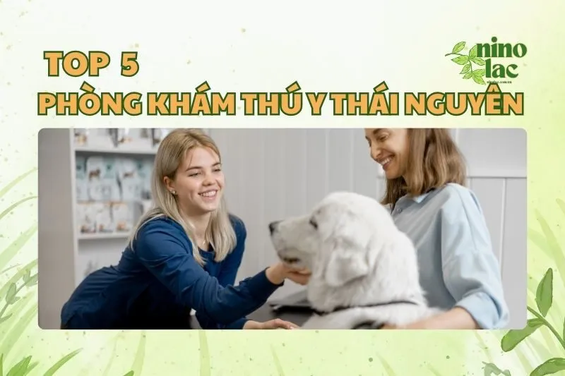 PHÒNG KHÁM THÚ Y THÁI NGUYÊN
