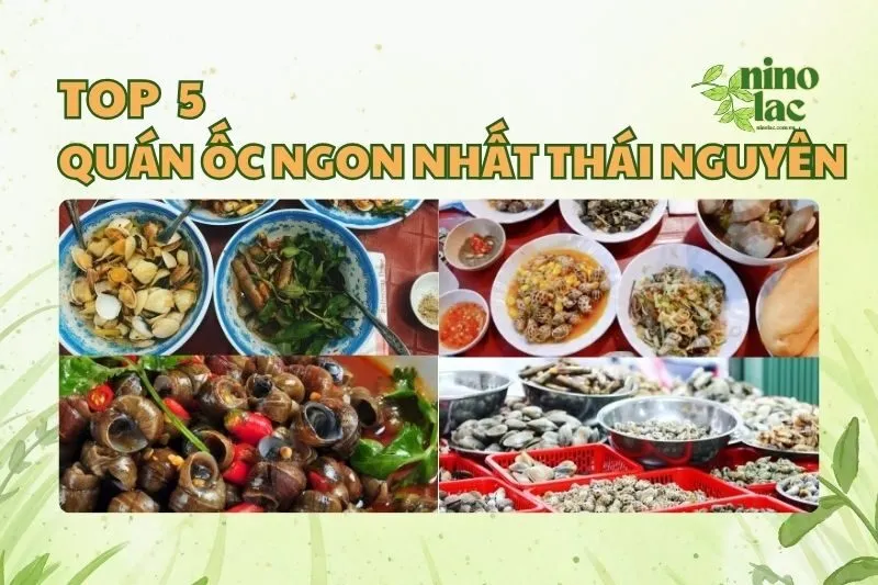 QUÁN ỐC NGON NHẤT THÁI NGUYÊN