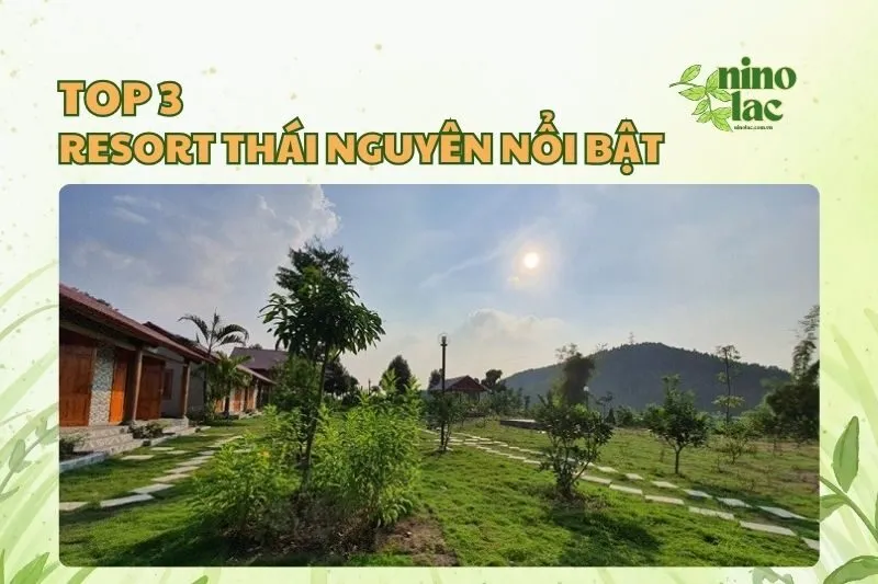 Resort Thái Nguyên chill nhất 2025: Sunny House, Đông Á, Yasmin Farm