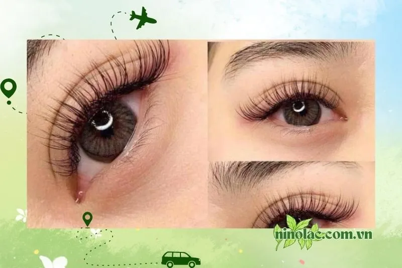 Sắc Đẹp Linh Nhâm Nối Mi Thái Nguyên