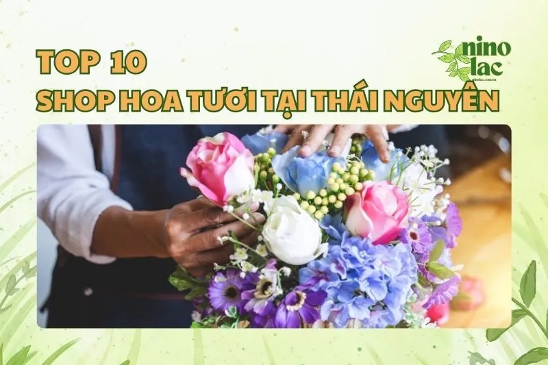 SHOP HOA TƯƠI TẠI THÁI NGUYÊN