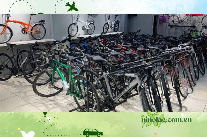 Showroom Xe Đạp Thể Thao Đức Hòa Thái Nguyên