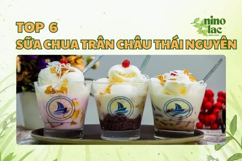 SỮA CHUA TRÂN CHÂU THÁI NGUYÊN