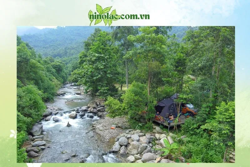 Suối Đá Trắng Glamping