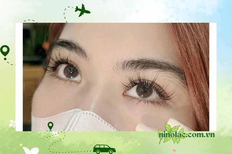 Thảo Hạnh Nghiêm Nối Mi Nối Mi Thái Nguyên