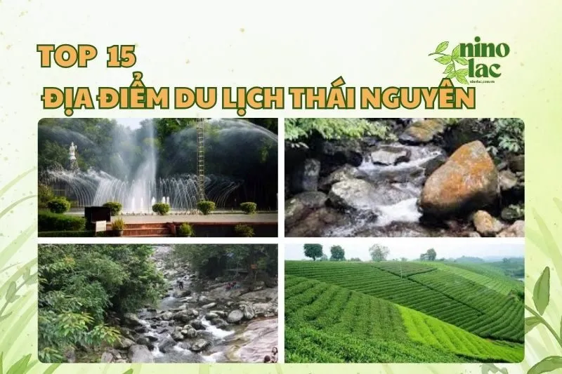 Top 15 địa điểm du lịch Thái Nguyên phải check in 2025
