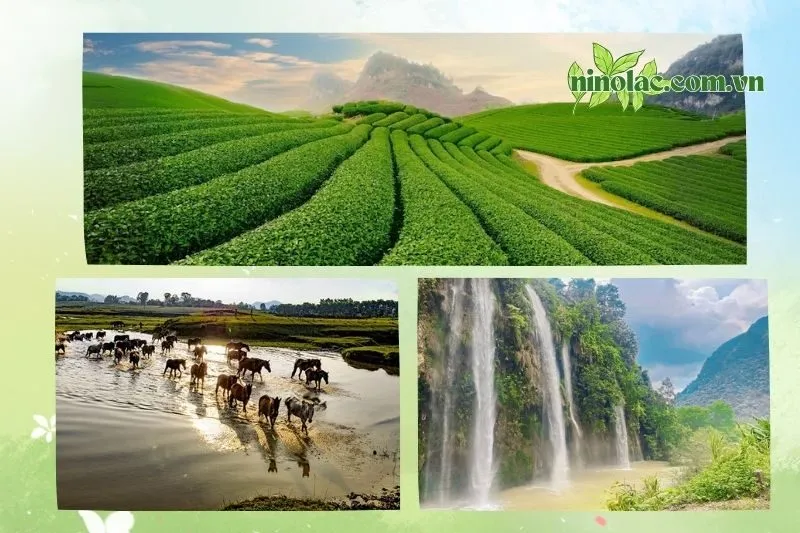 Top 15 địa điểm du lịch Thái Nguyên phải check in