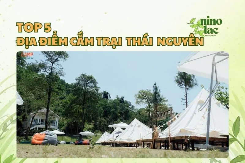 Top 5 Địa Điểm Cắm Trại Thái Nguyên Chill Hết Nấc 2025