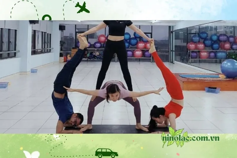 Trung tâm Gym & Yoga Rồng