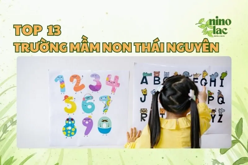 TRƯỜNG MẦM NON THÁI NGUYÊN