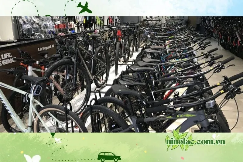 Xe Đạp Nhật Bãi Thái Nguyên