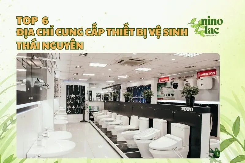 Cung cấp thiết bị vệ sinh Thái Nguyên - Top địa chỉ uy tín và chất lượng