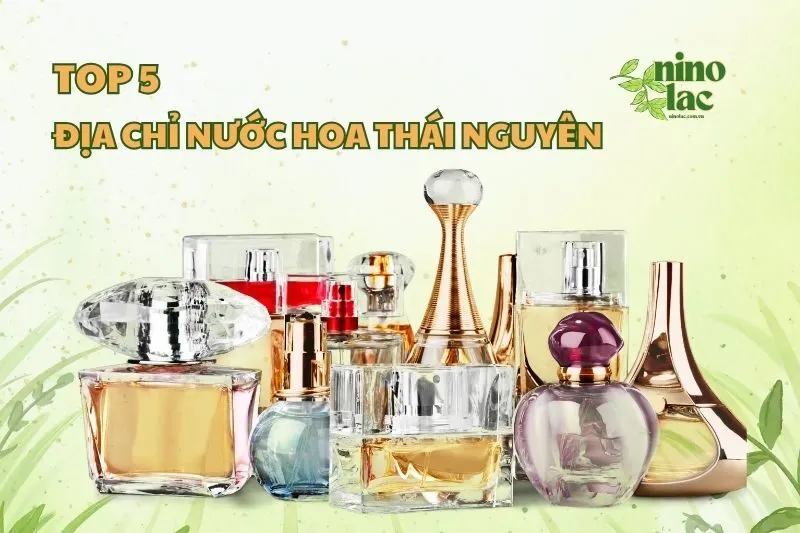 Top 5 Địa Chỉ Nước Hoa Thái Nguyên Xịn Sò Phải Ghé 2025