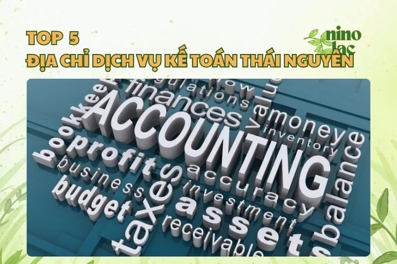 Top 5 dịch vụ kế toán Thái Nguyên uy tín cho doanh nghiệp