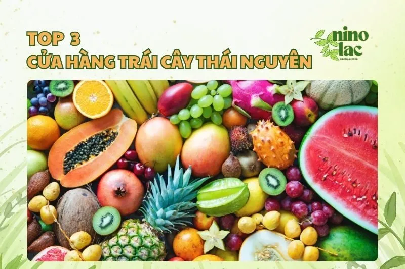 Top cửa hàng trái cây Thái Nguyên chất lượng, giá tốt nhất