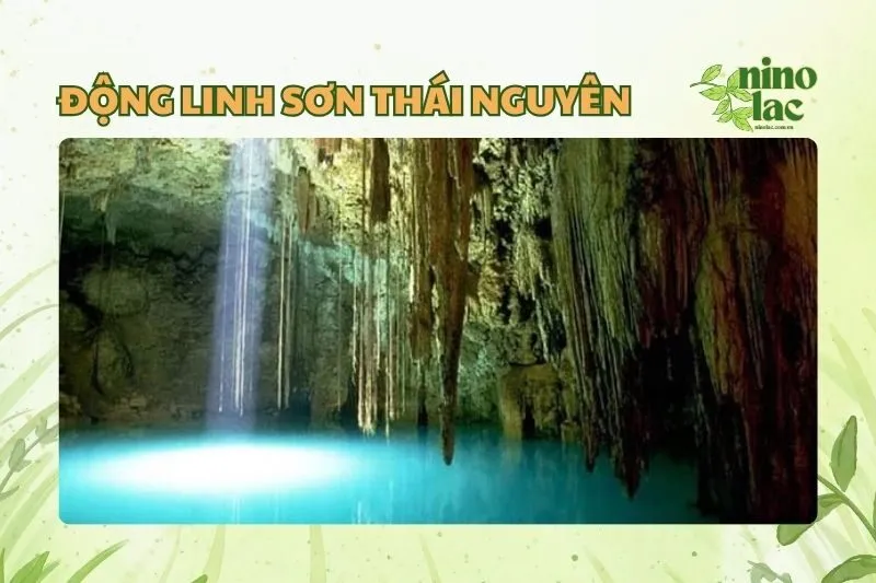 Động Linh Sơn Thái Nguyên