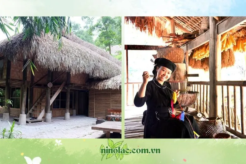 Giới Thiệu Khu Bảo Tồn Nhà Sàn Dân Tộc Thái Hải Thái Nguyên