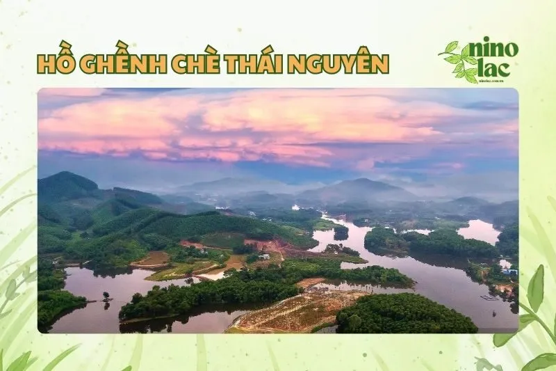 HỒ GHỀNH CHÈ THÁI NGUYÊN