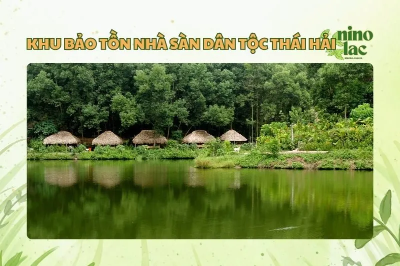 Nhà Sàn Dân Tộc Thái Hải Thái Nguyên