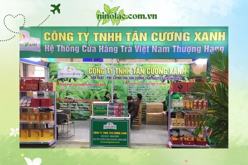 Mua Chè Tân Cương Thái Nguyên ở đâu và giá bán