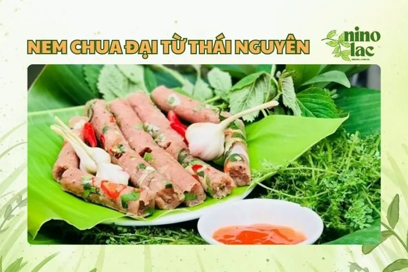 Nem Chua Đại Từ Thái Nguyên