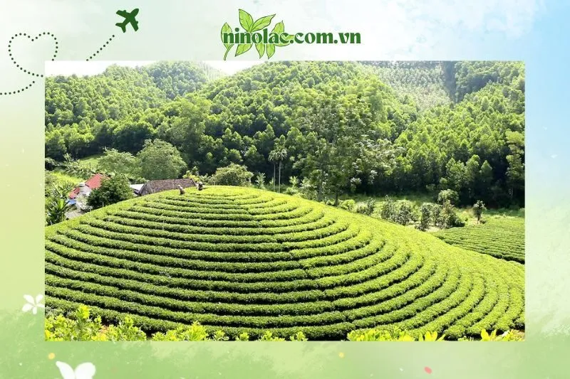 Những địa điểm du lịch gần Trại ngựa Bá Vân Thái Nguyên