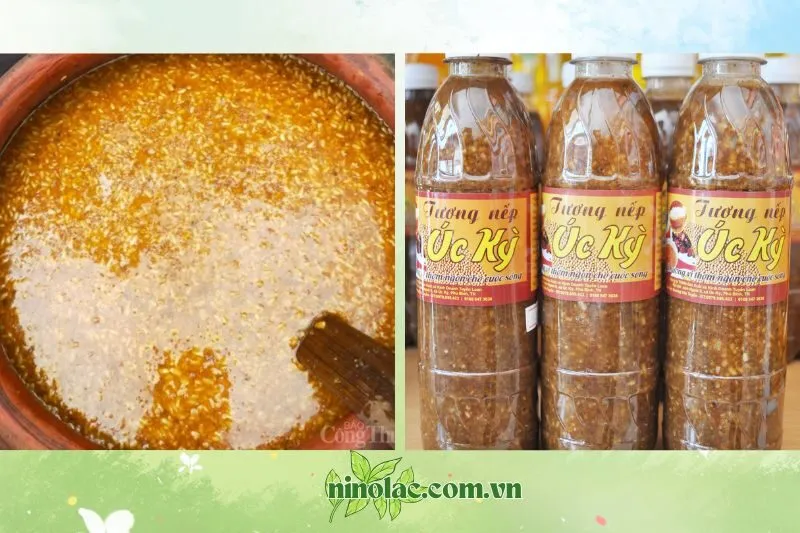 Tương Nếp Úc Kỳ: Đặc Sản Thái Nguyên Nổi Tiếng