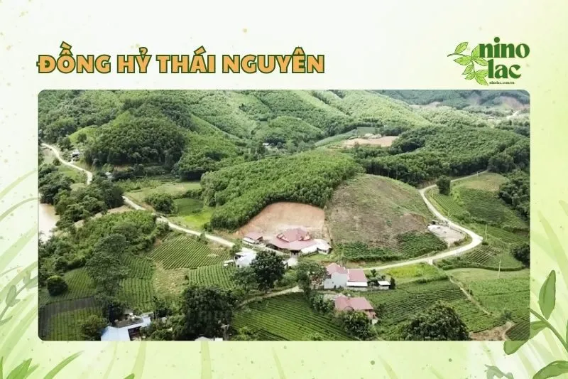 Đồng Hỷ Thái Nguyên