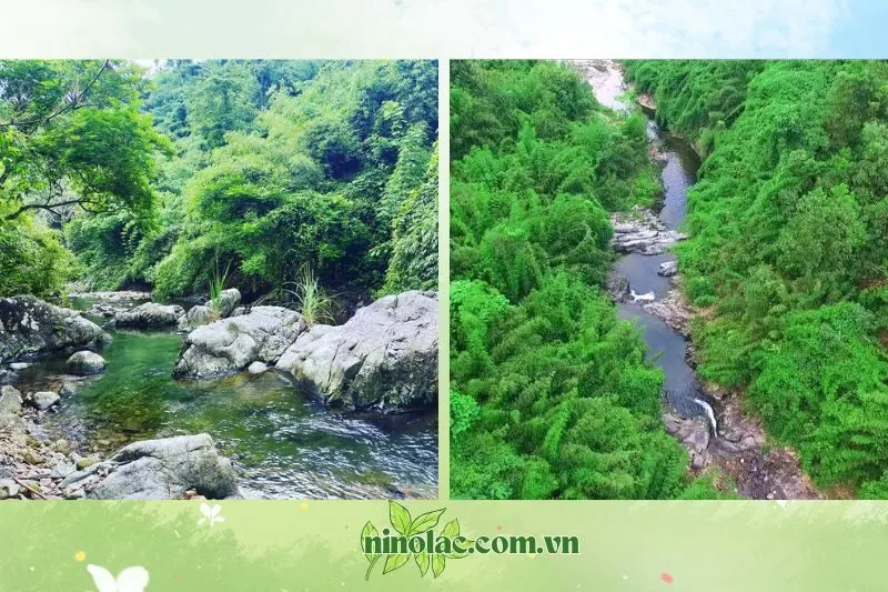 Giới thiệu về Suối Đát Đắng Thái Nguyên