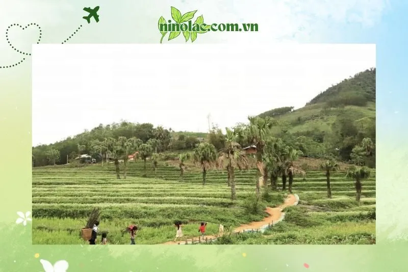 Kinh nghiệm du lịch Bản Tèn