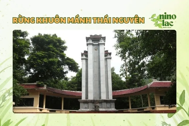 Rừng Khuôn Mánh Thái Nguyên